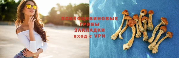 apvp Бугульма