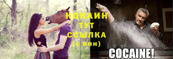 apvp Бугульма